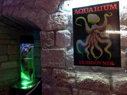 Acuario de Dubrovnik