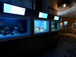 Salas del acuario