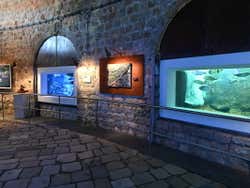 Salas del Acuario de Dubrovnik